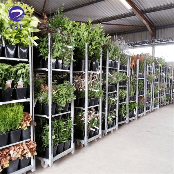 Flower Cc Container