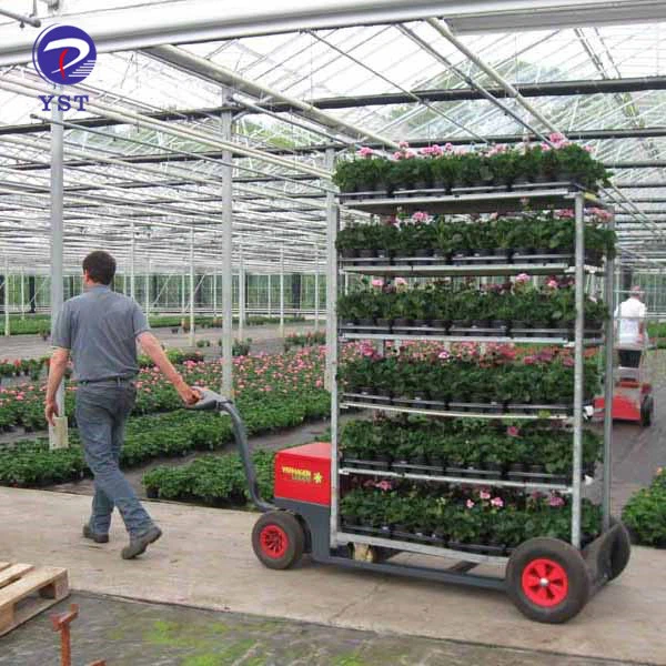 Foldable Metal Flower Trolley Cart