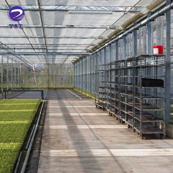 Greenhouse Plant Cart