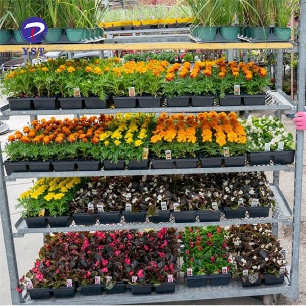 Plant Trolley Rack